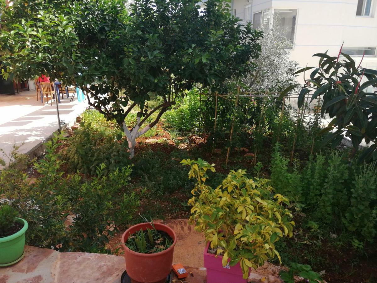 Helen'S House Apartment คซามิล ภายนอก รูปภาพ